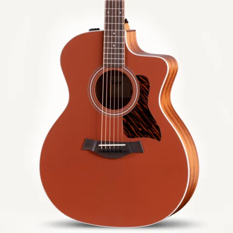 2024年の新アコースティックギター | Taylor Guitars